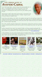 Mobile Screenshot of amandio.com